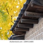 如何在IGKBET娱乐中获得最佳游戏体验与奖励 16wg7