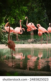 如何在亚洲城平台上获取更多游戏乐趣与奖励