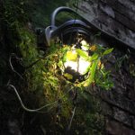 如何在和记平台上安全地进行在线投注 5lrtqj2o