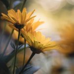 如何在乐玩娱乐平台中找到最适合你的游戏体验 cgbzwv8