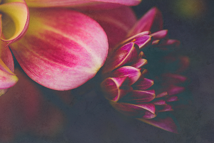 如何在pg电子亡灵大盗中获得高额奖金的技巧