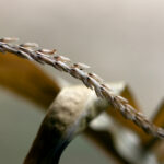 3d乐彩网最新开奖号码查询与历史开奖结果汇总 0o6dx