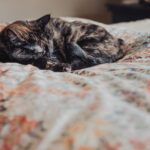 18131期大乐透开奖结果震撼揭晓 33z4m2lq