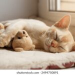 3D历史094期开奖号码详细回顾与数据分析 4ygn4e