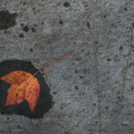 18133期开奖号码公布,最新中奖结果查询 e3xbfr