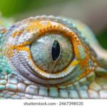 18118期足彩开奖结果最新公布 gac68oqe6