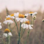 3d今天开奖号码是多少?最新结果已公布 gk4a9i