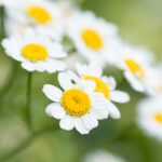 18135期体彩开奖结果公布,大奖花落谁家? now8g4wm