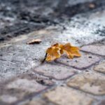 3d十期开奖号码完整走势图与规律分析 nr8d4gk