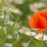 18132期体育彩票开奖公告及中奖号码查询 ovd0g2qape