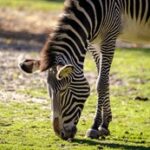 3d98期最新开奖结果查询与中奖号码公布 qp1tgvf3