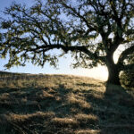 18116期开奖结果震撼揭晓,大奖花落谁家引关注 yz729